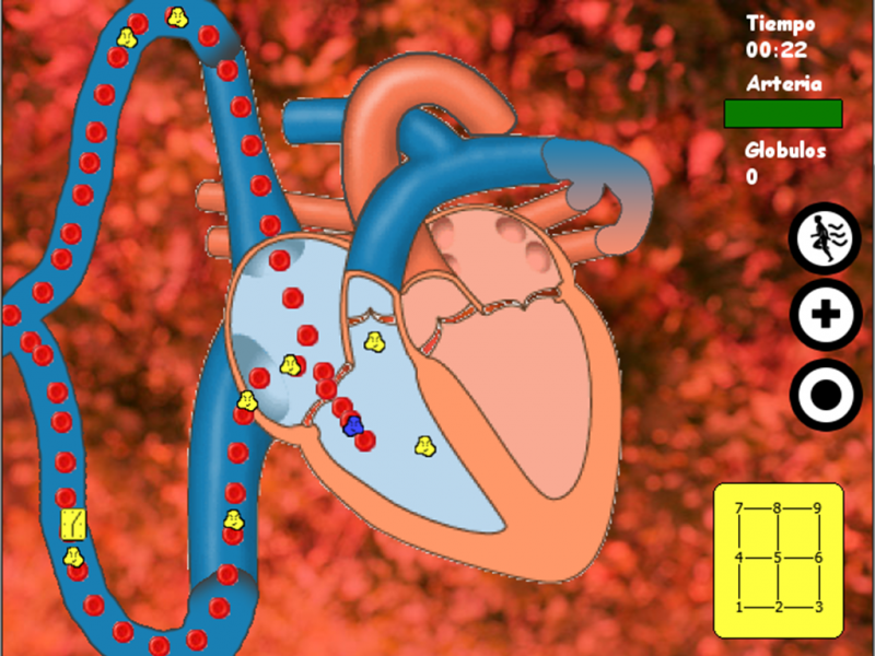 cardiovascujam